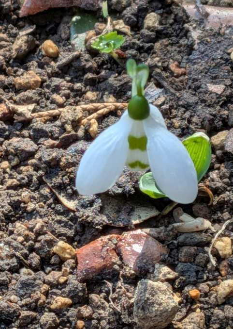 Pxl_20260206_025944383