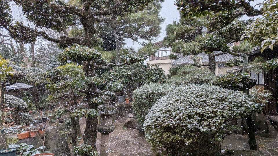 Pxl_20260208_061746907