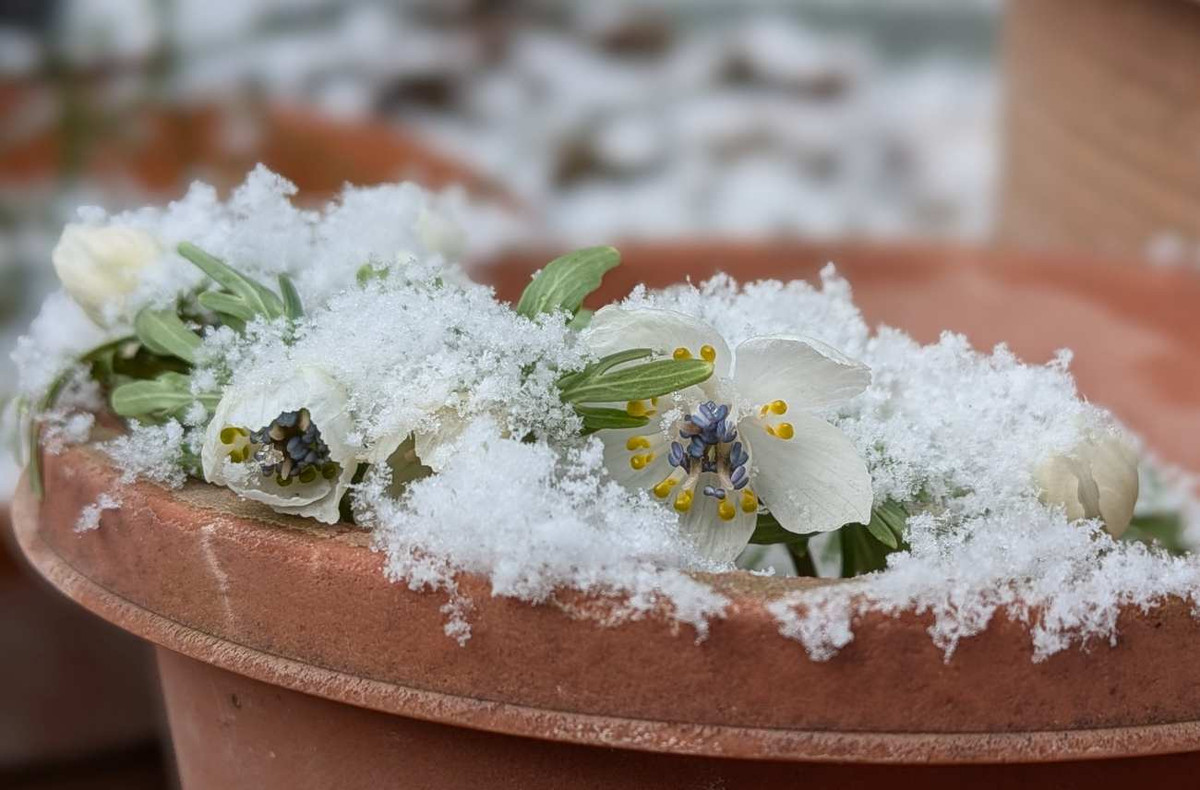 Pxl_20260208_062425338portrait