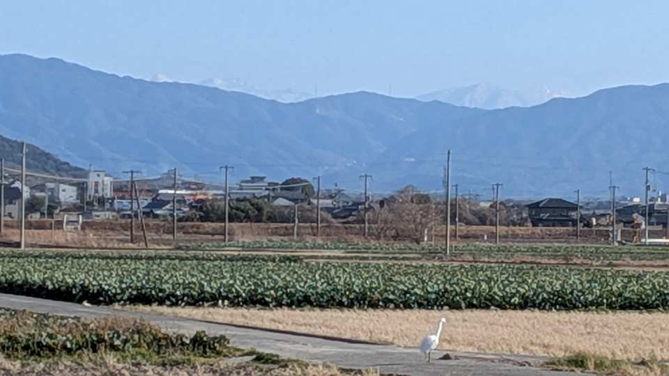 Pxl_20260209_061019811