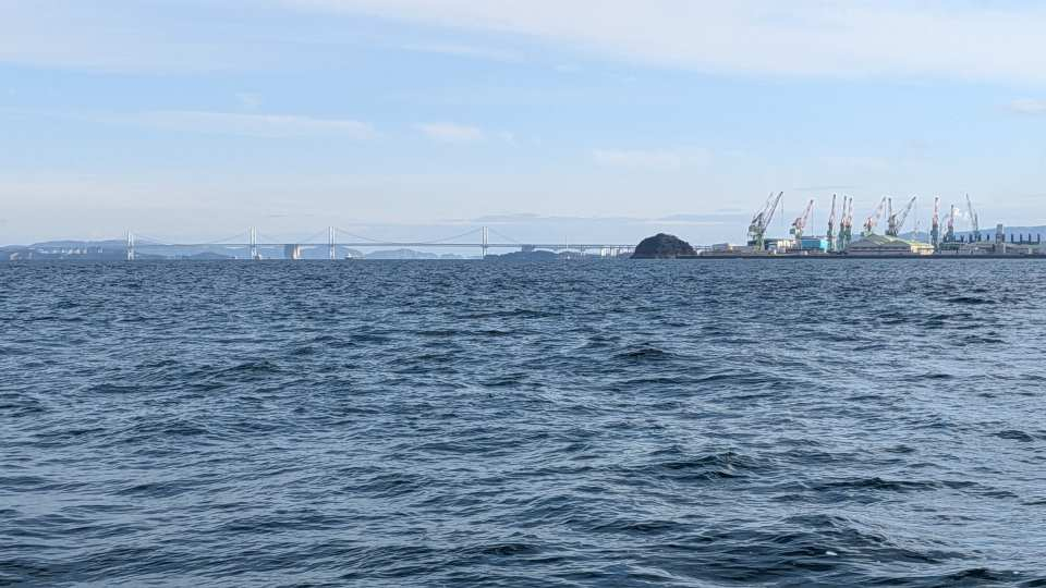 Pxl_20260131_001300045 Pxl_20260131_001300045