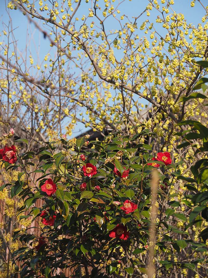 494142223_2396991037303791_54415125 494142223_2396991037303791_54415125