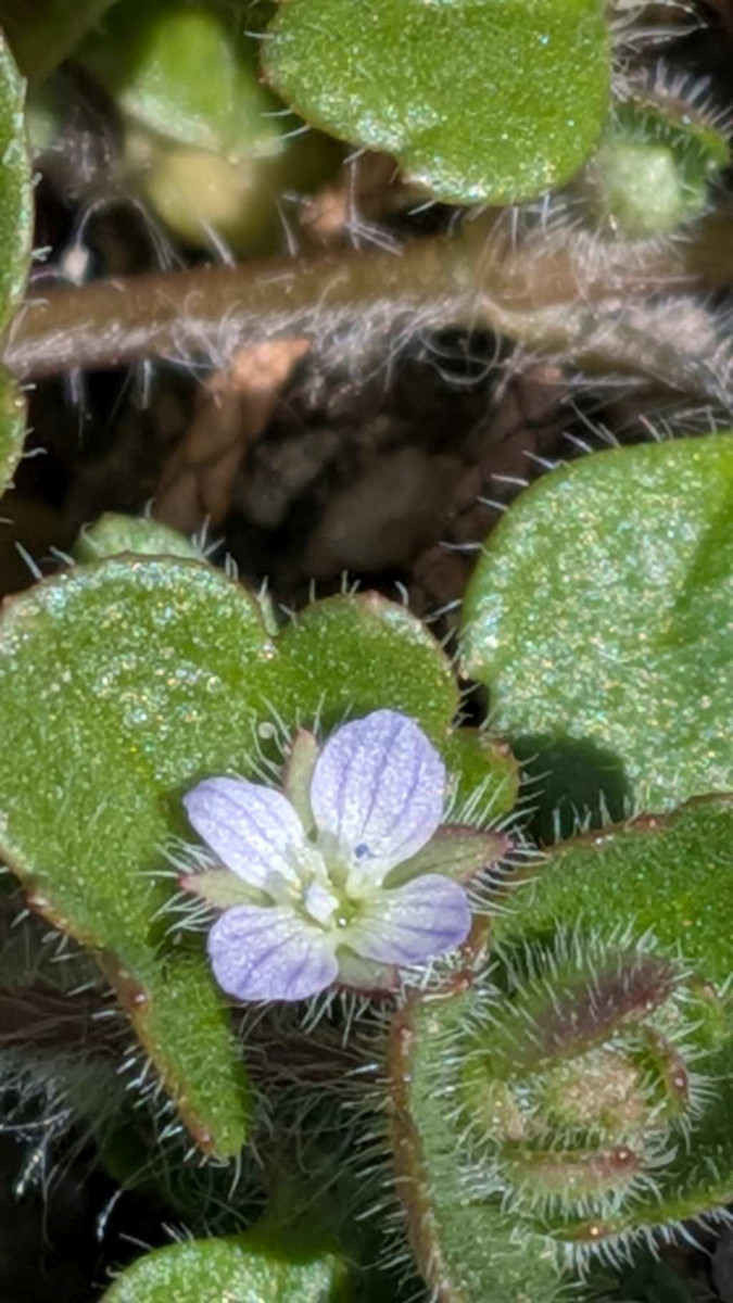 Pxl_20260219_042122101