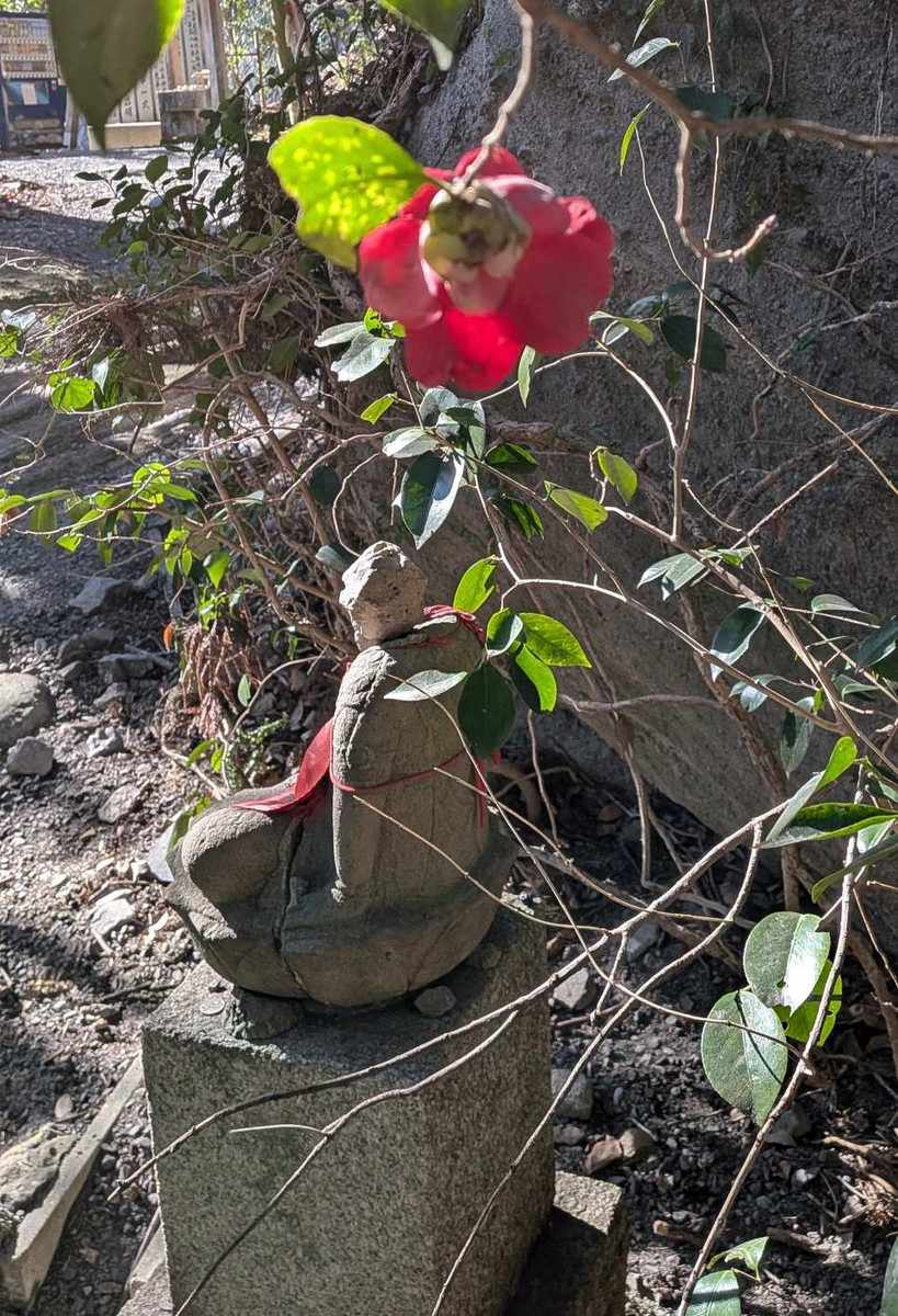 Pxl_20260222_055459478