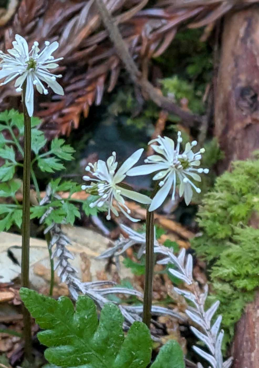 Pxl_20260213_234808390 Pxl_20260213_234808390