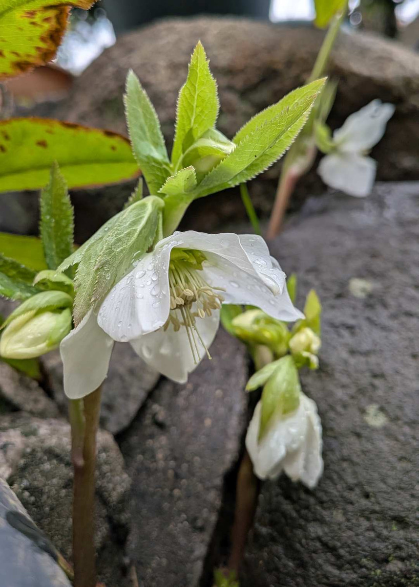 Pxl_20260225_062822013