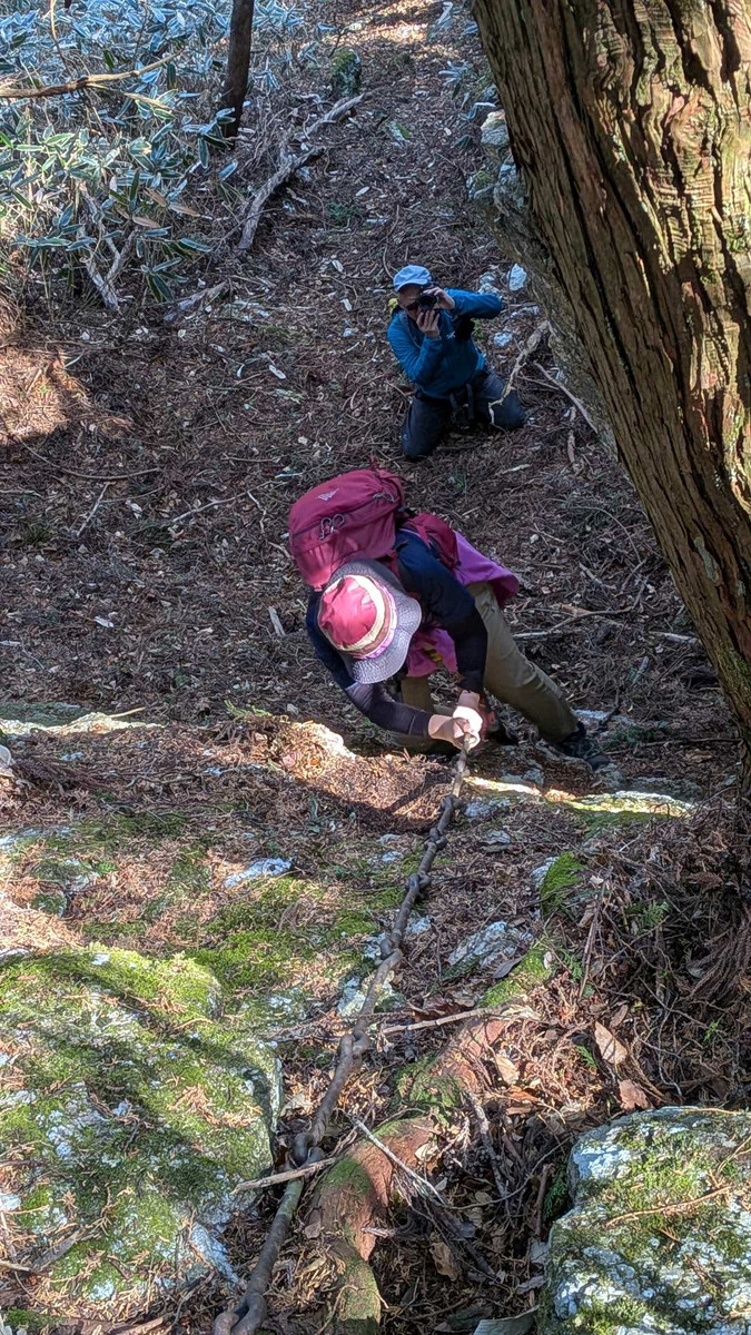 Pxl_20260214_023335902