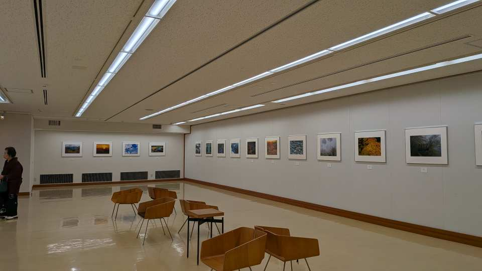 Pxl_20260301_024653669 Pxl_20260301_024653669