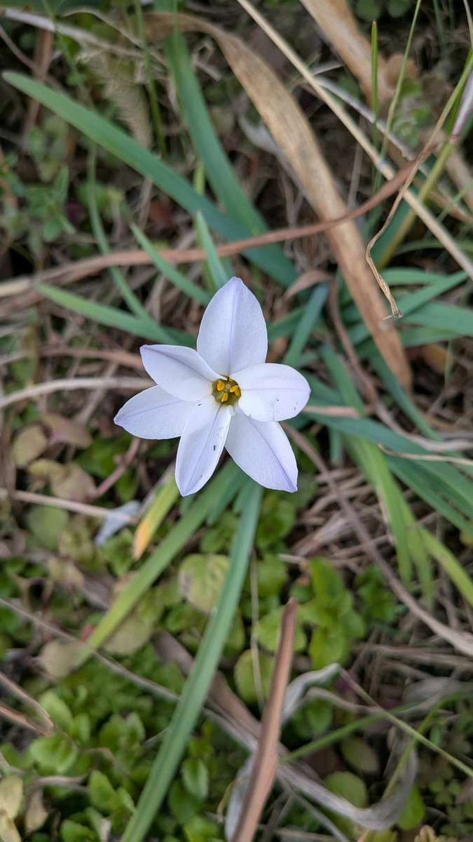 Pxl_20260304_072858303