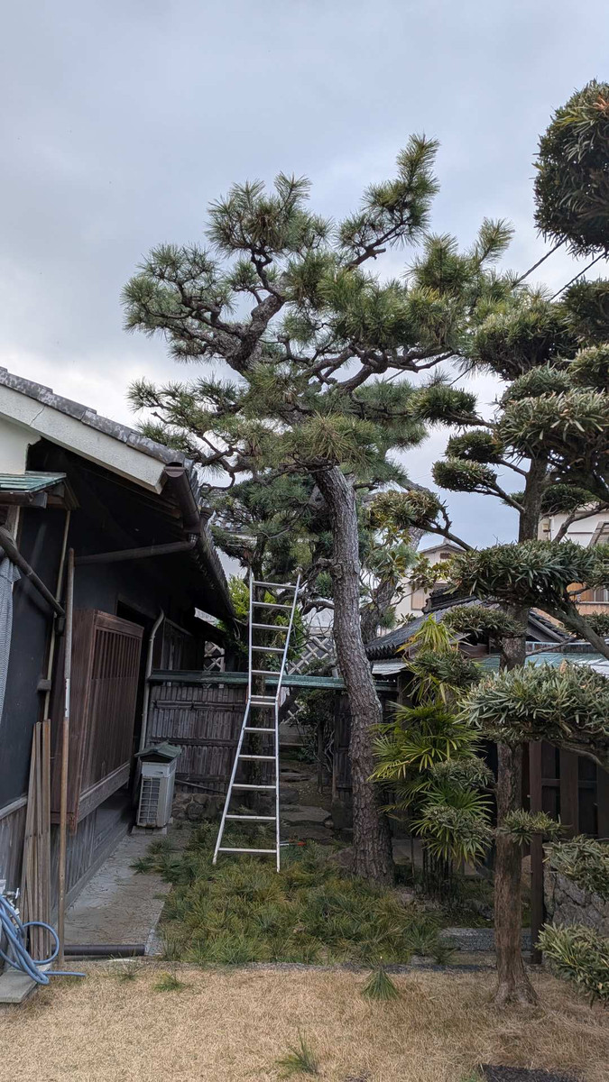 Pxl_20260307_075300676