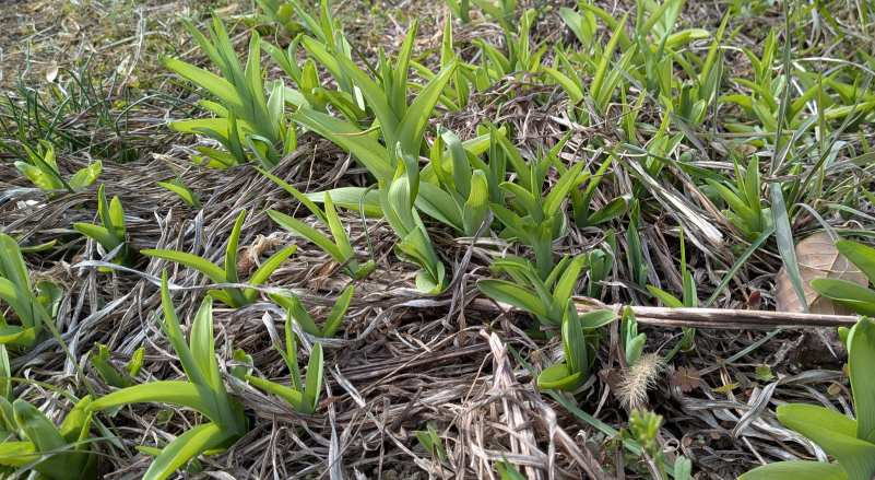 Pxl_20260309_061403087