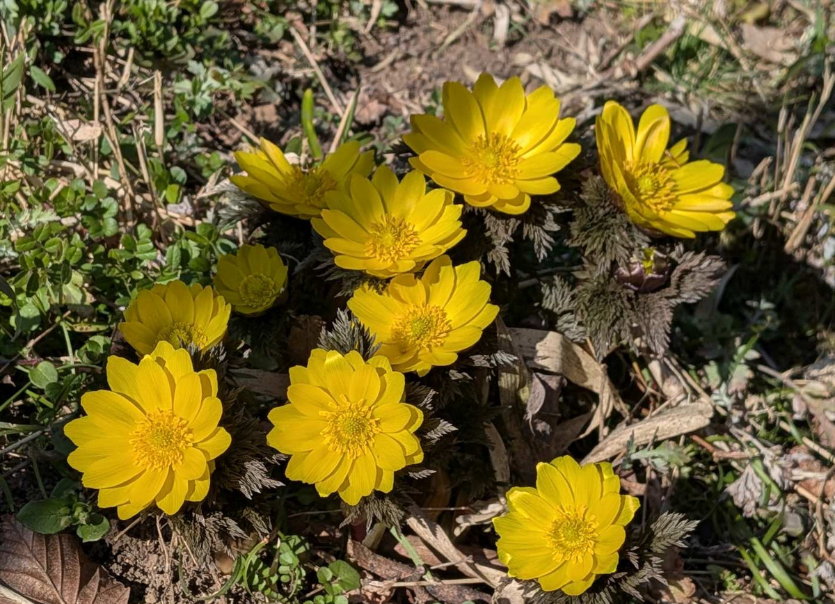 Pxl_20260221_053520763