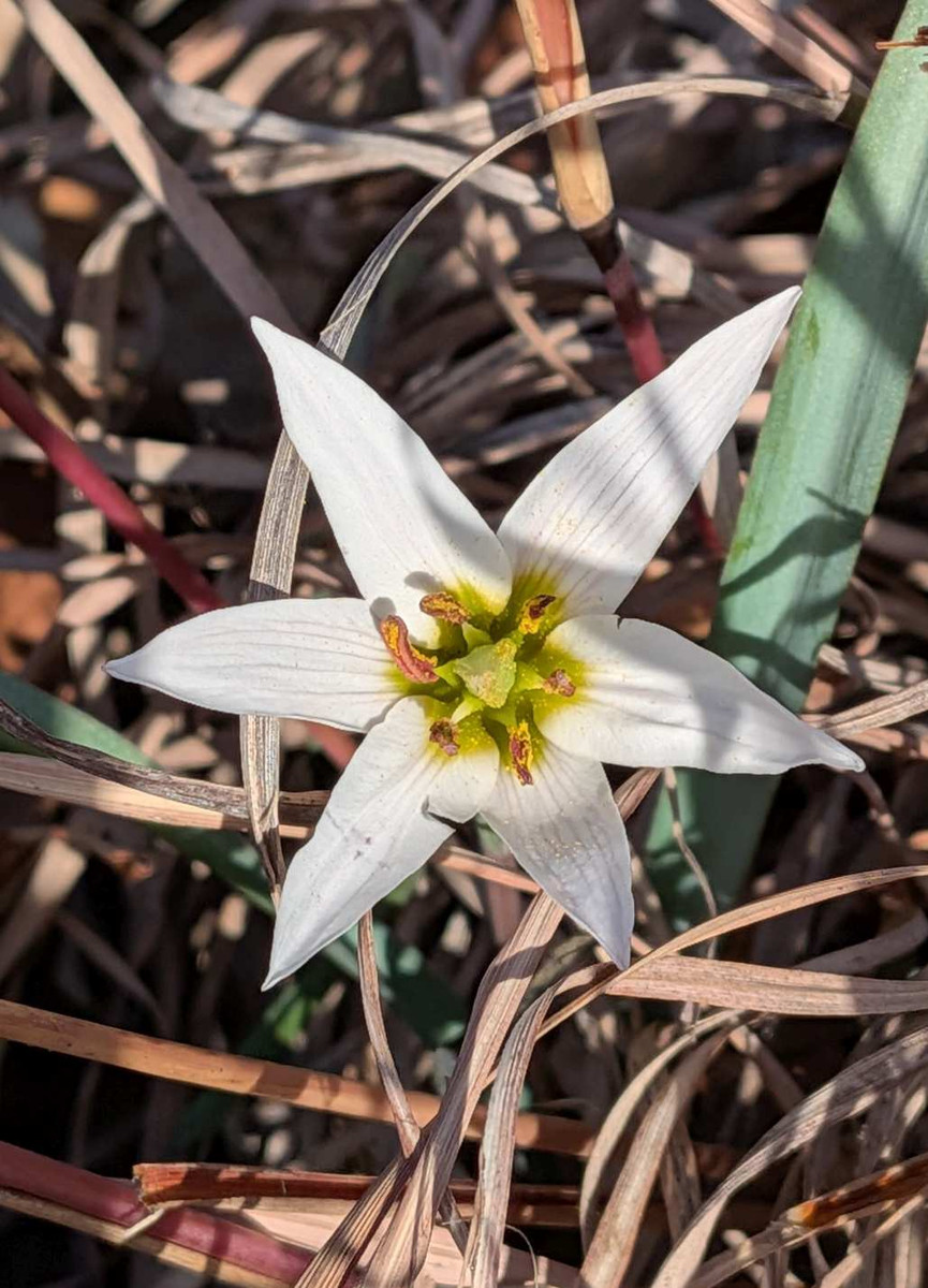 Pxl_20260301_061633159