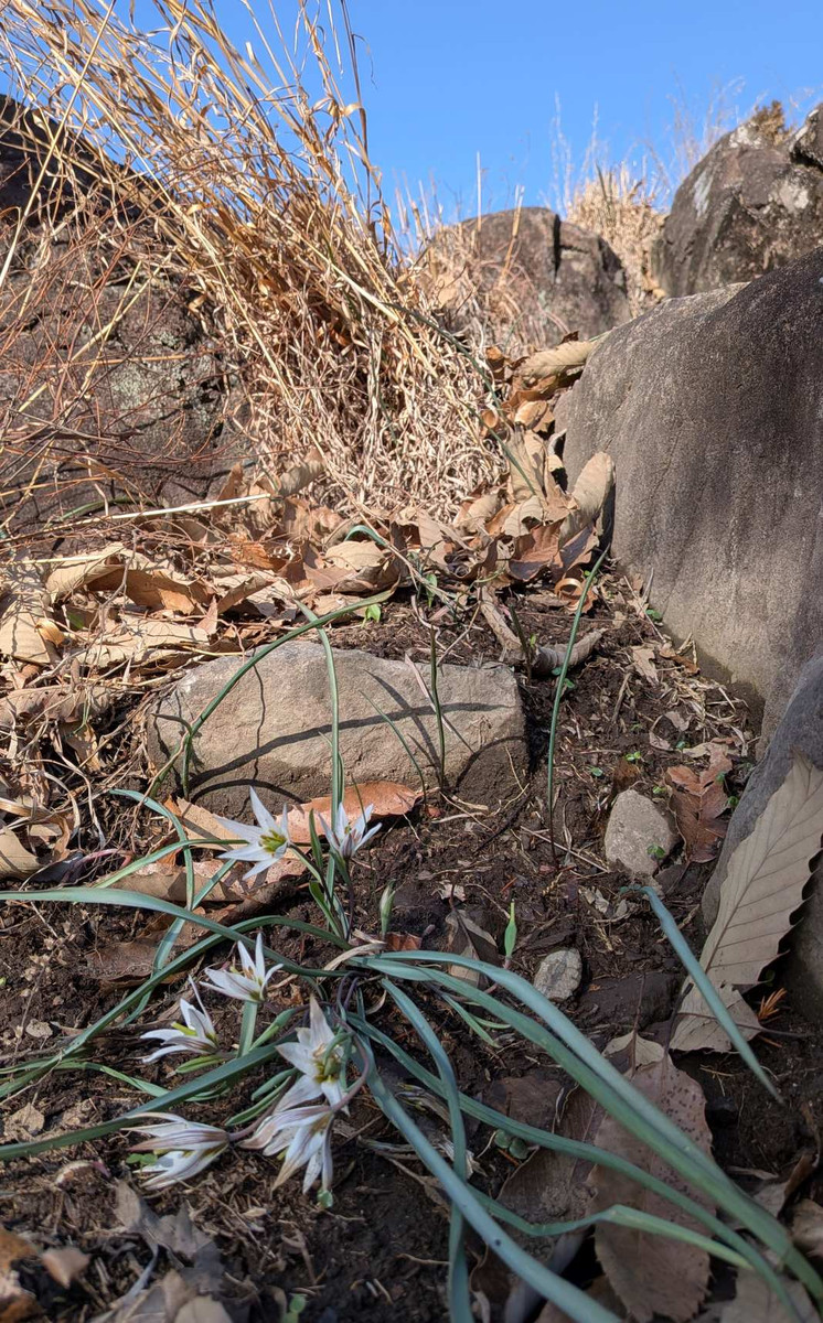 Pxl_20260301_061758731