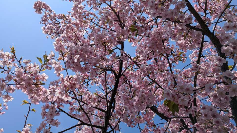 Pxl_20260312_031637039