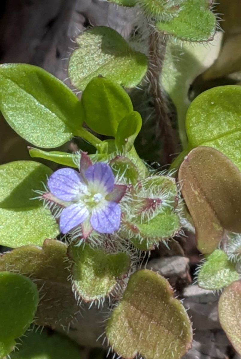 Pxl_20260301_033120062