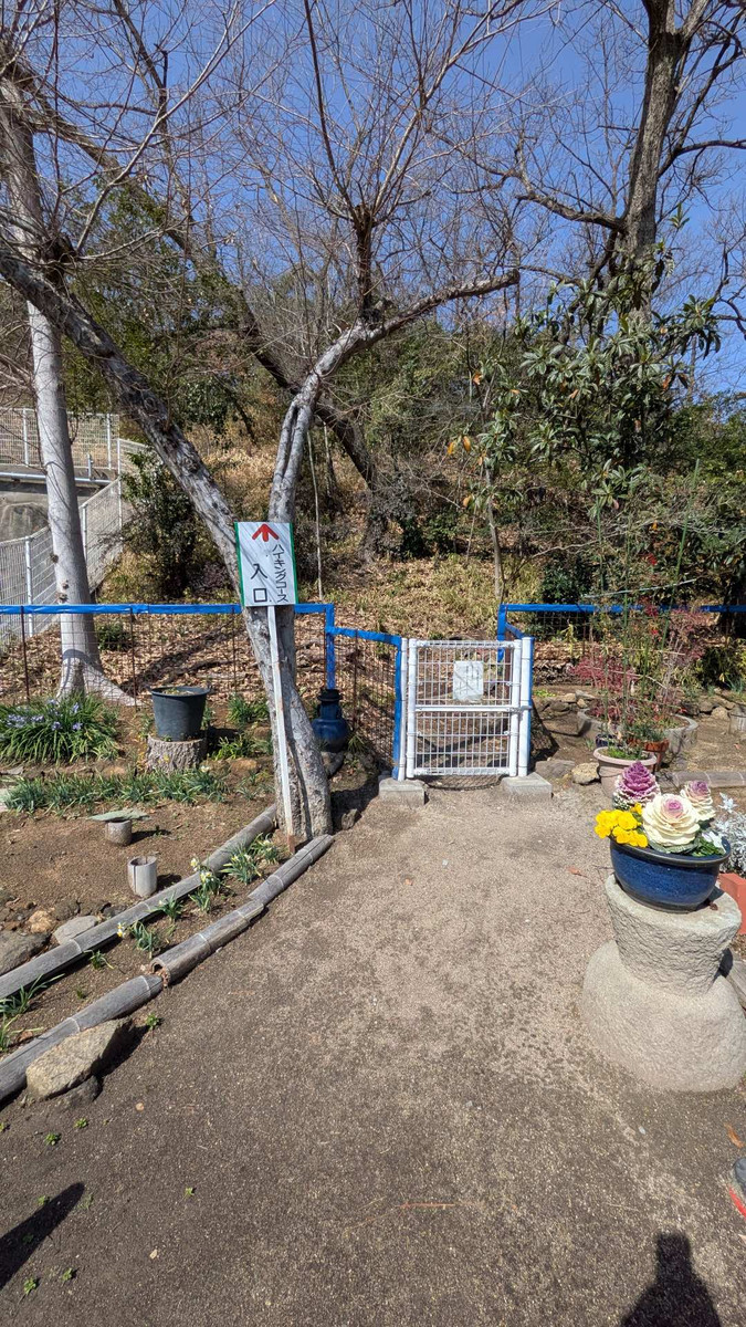 Pxl_20260301_033620491