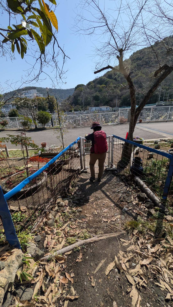 Pxl_20260301_033638529