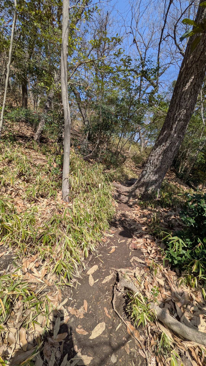 Pxl_20260301_033642345