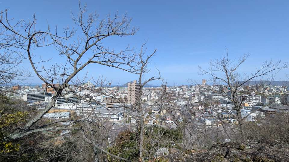 Pxl_20260301_034402591