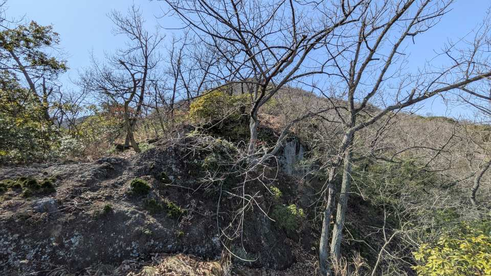 Pxl_20260301_035120683