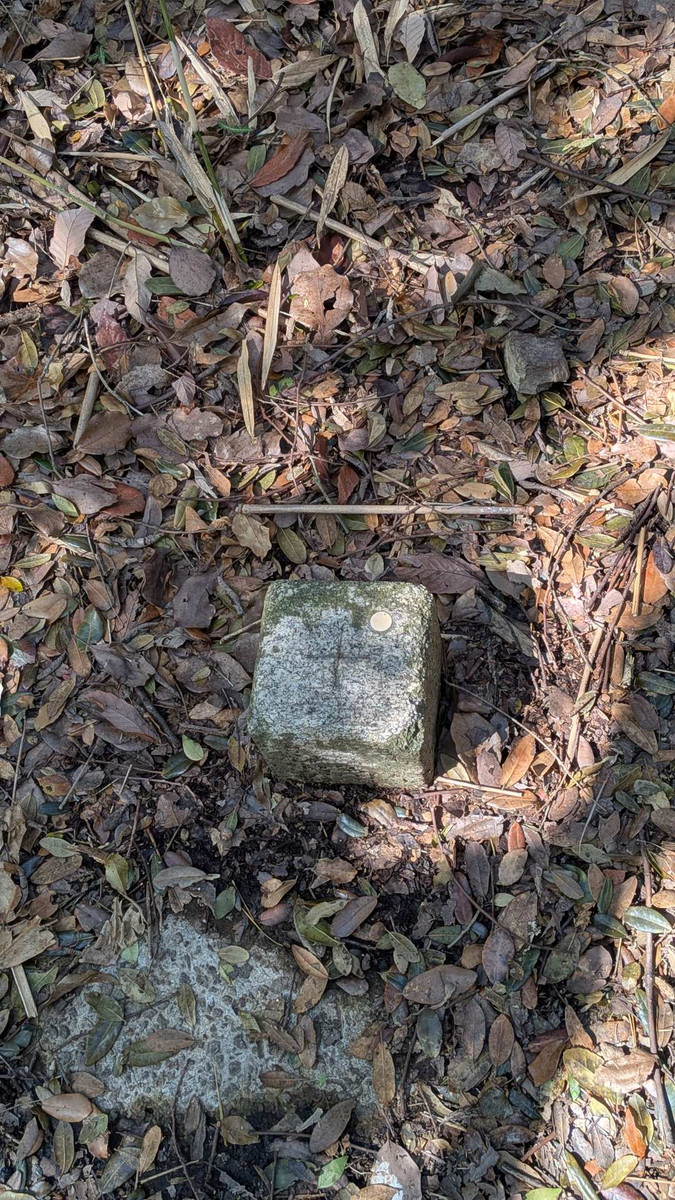 Pxl_20260301_042219239