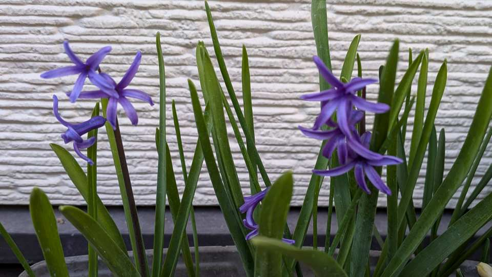 Pxl_20260313_074214118