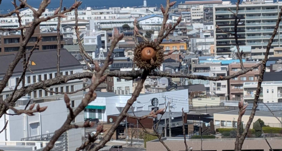 Pxl_20260301_035112611