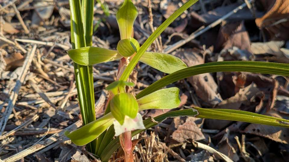 Pxl_20260314_082156977