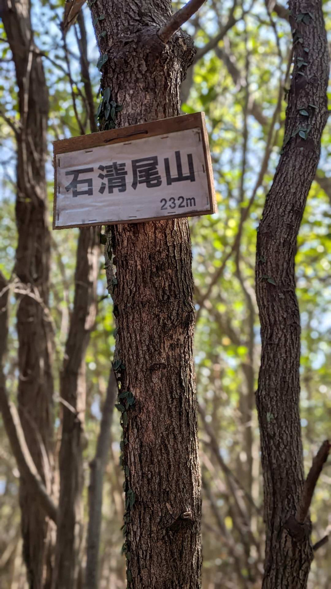 Pxl_20260301_042715054portrait