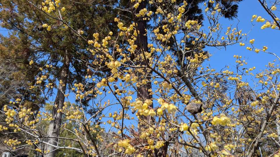 Pxl_20260301_043317324