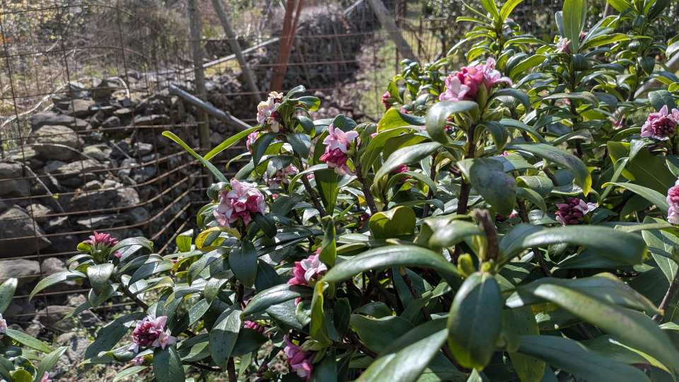 Pxl_20260301_044326666