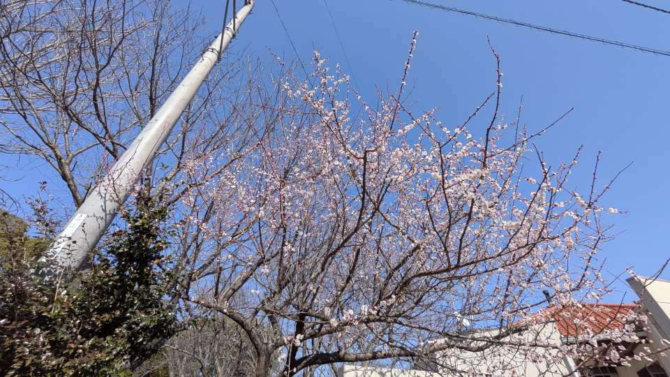 Pxl_20260301_045656507