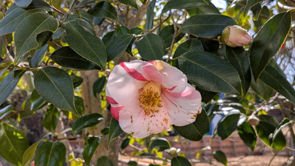 Pxl_20260301_045722460