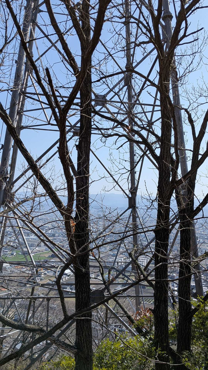 Pxl_20260301_050551042