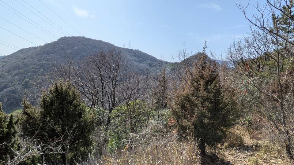 Pxl_20260301_050841349