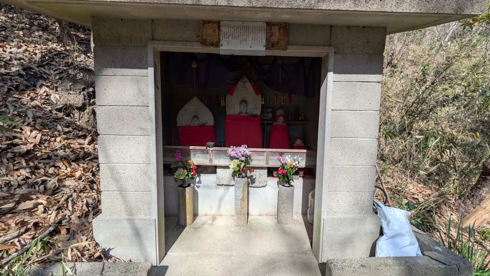 Pxl_20260301_051846436