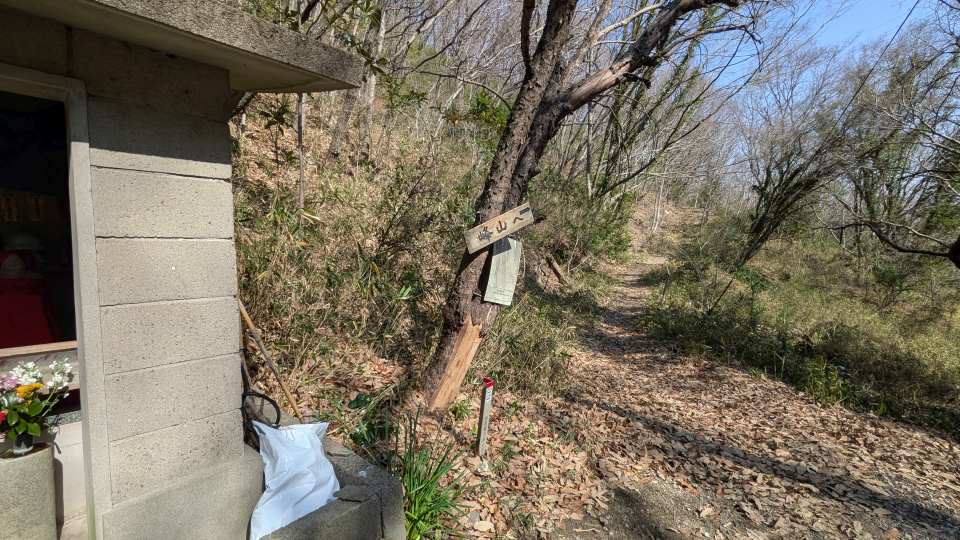 Pxl_20260301_051850557