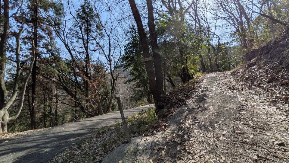 Pxl_20260301_051917667