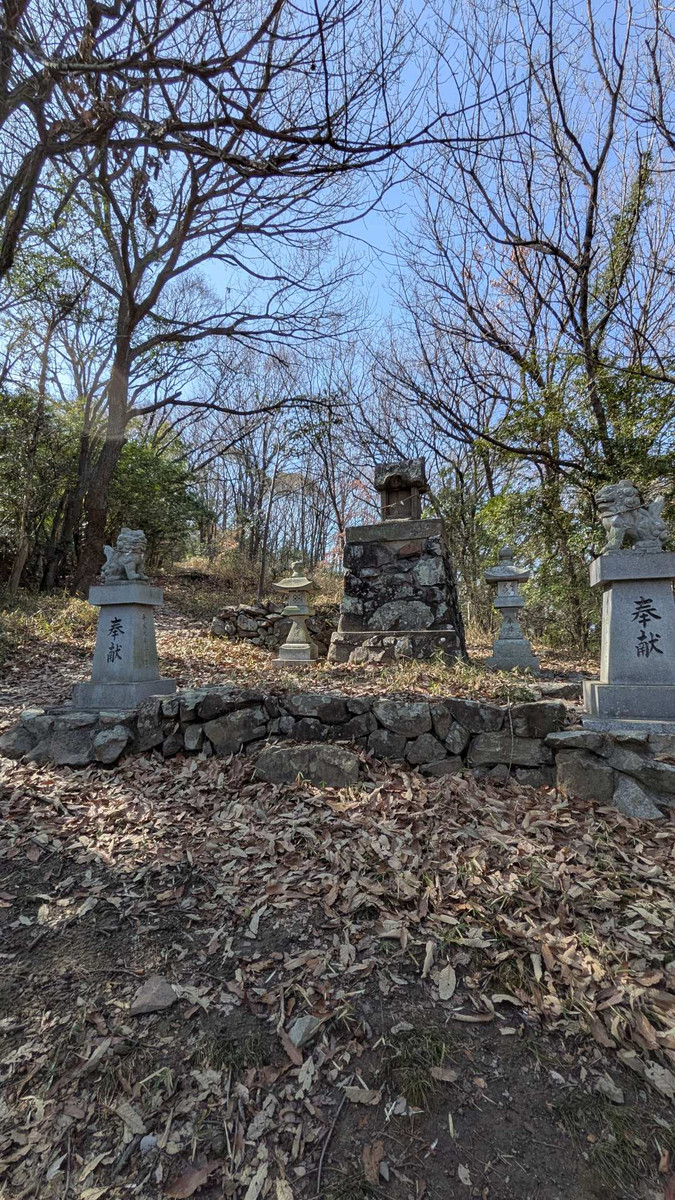 Pxl_20260301_052110353