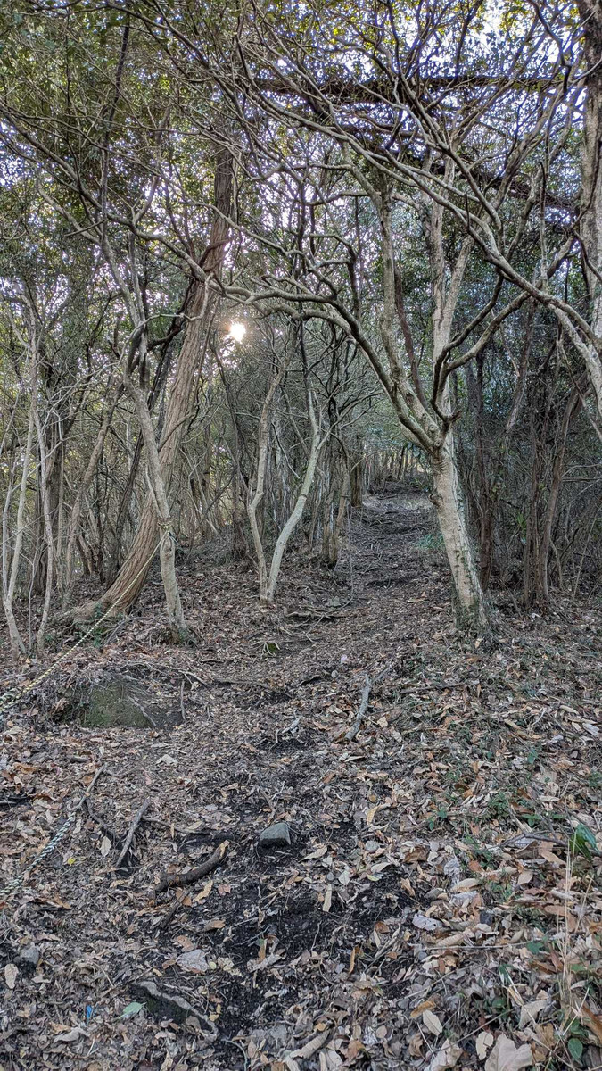 Pxl_20260301_052955333