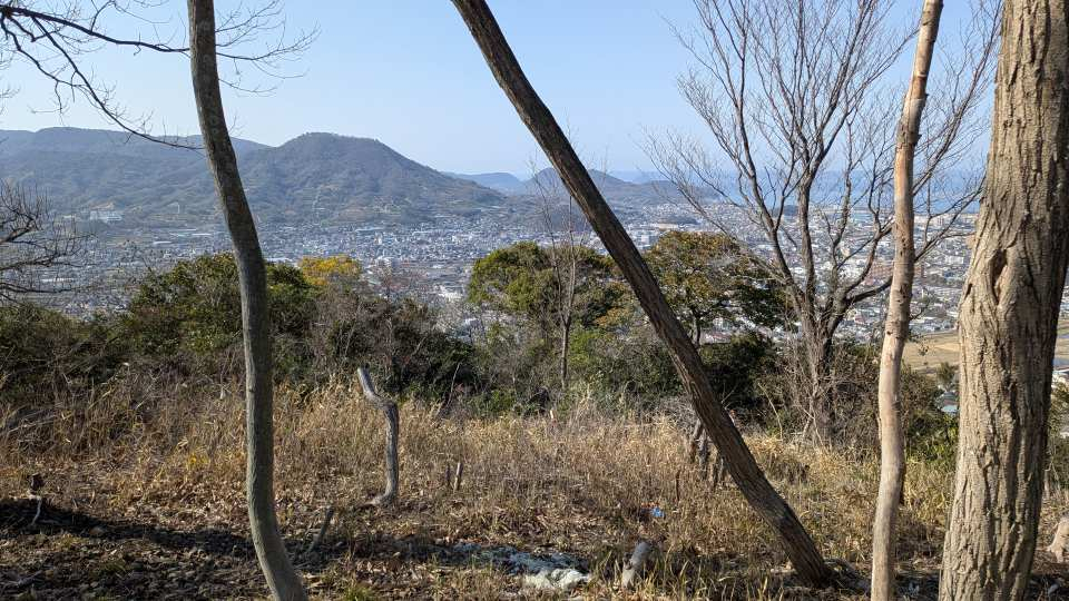 Pxl_20260301_053426435