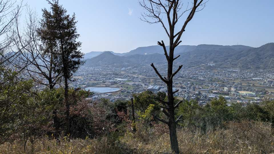 Pxl_20260301_054025263