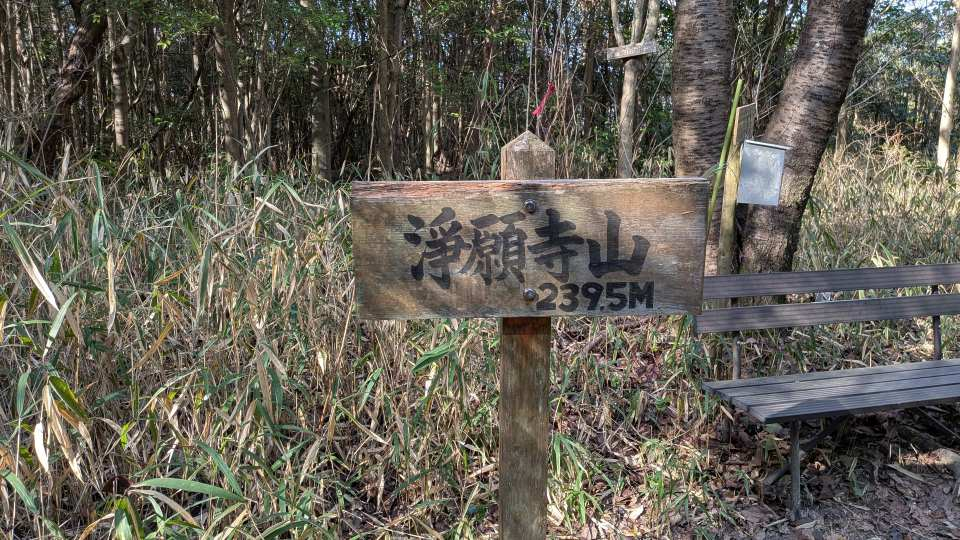 Pxl_20260301_055732166