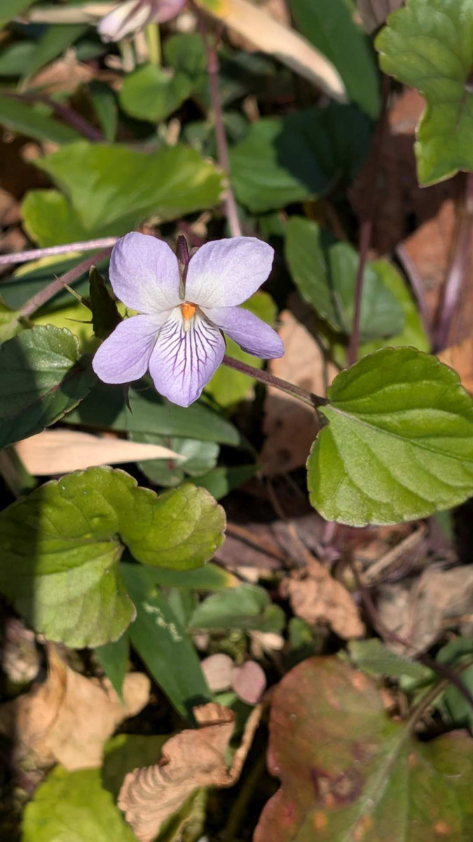 Pxl_20260301_065705915