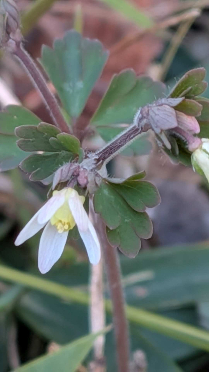 Pxl_20260301_065947527