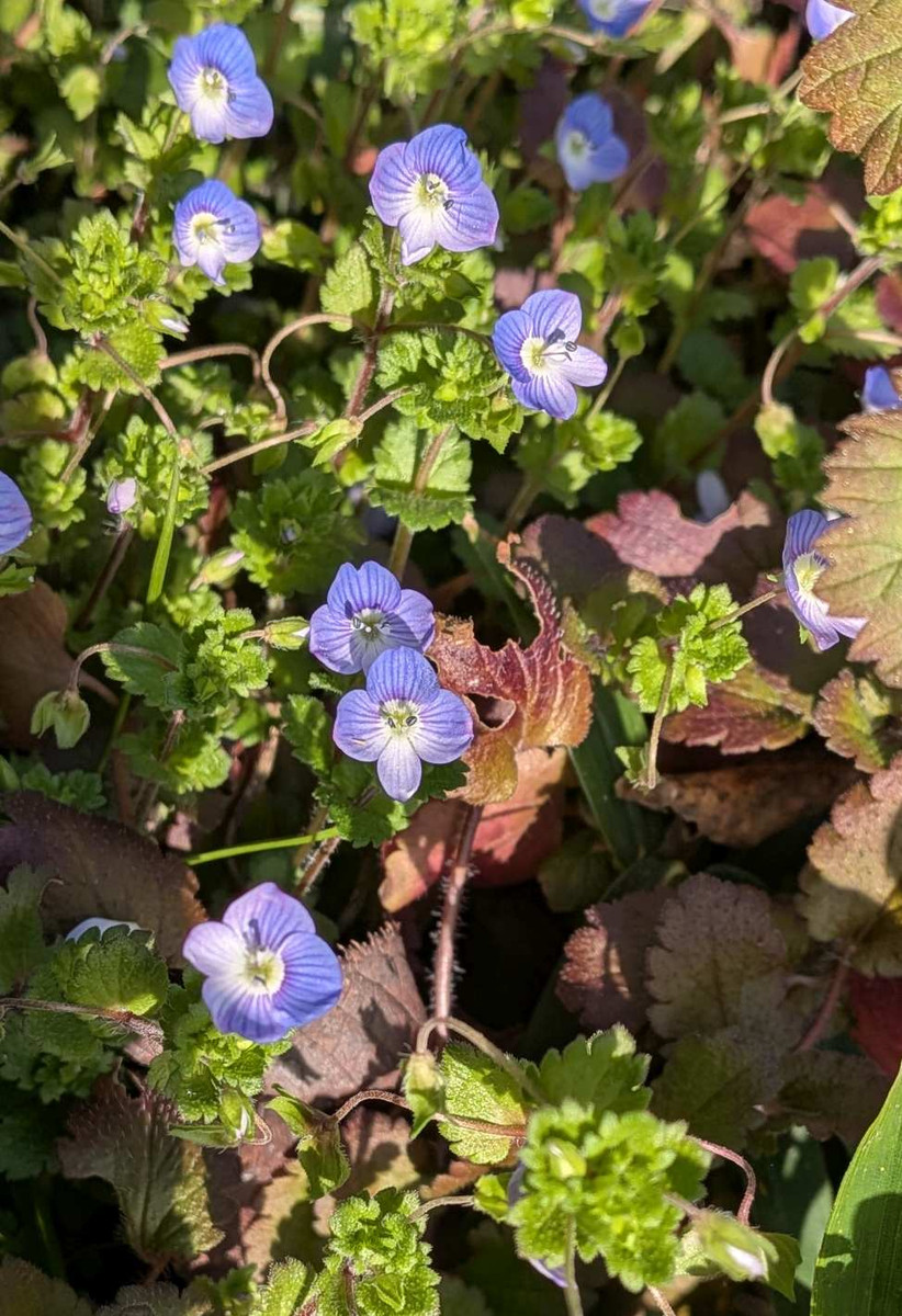 Pxl_20260301_070024070