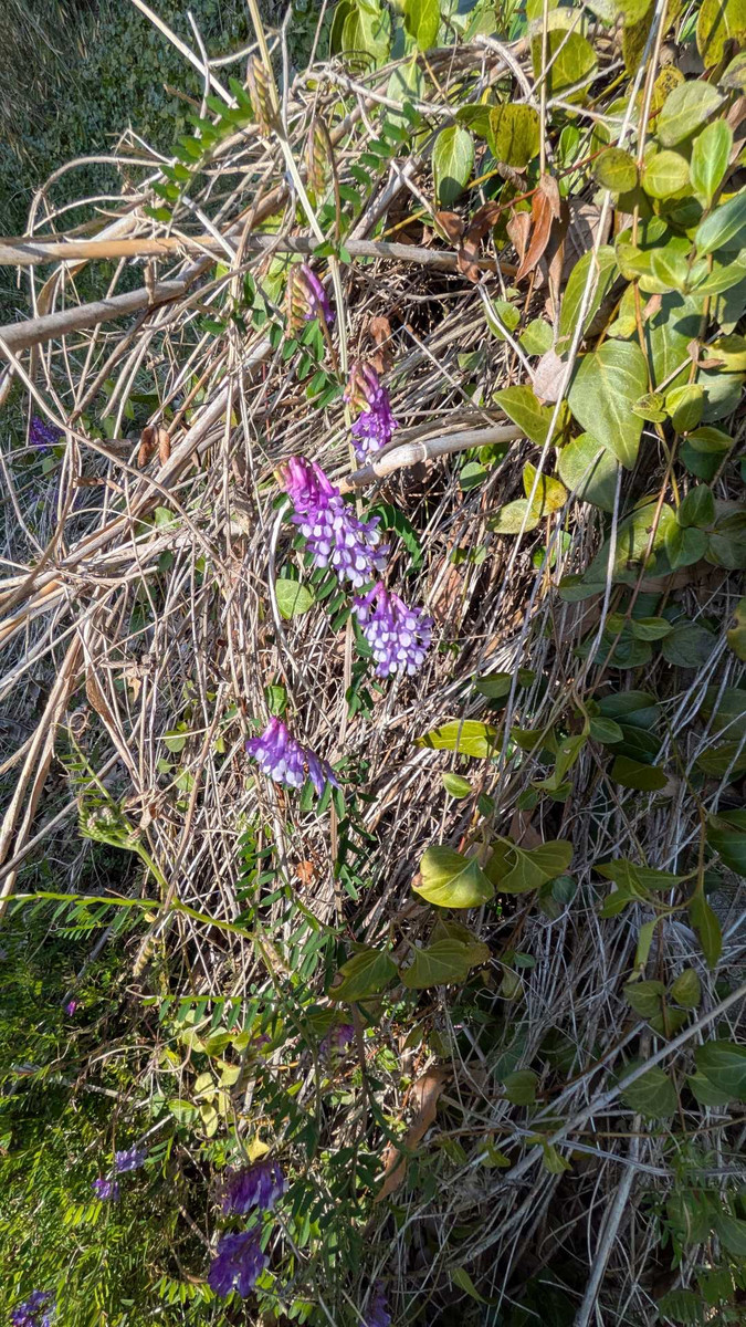 Pxl_20260301_070307207