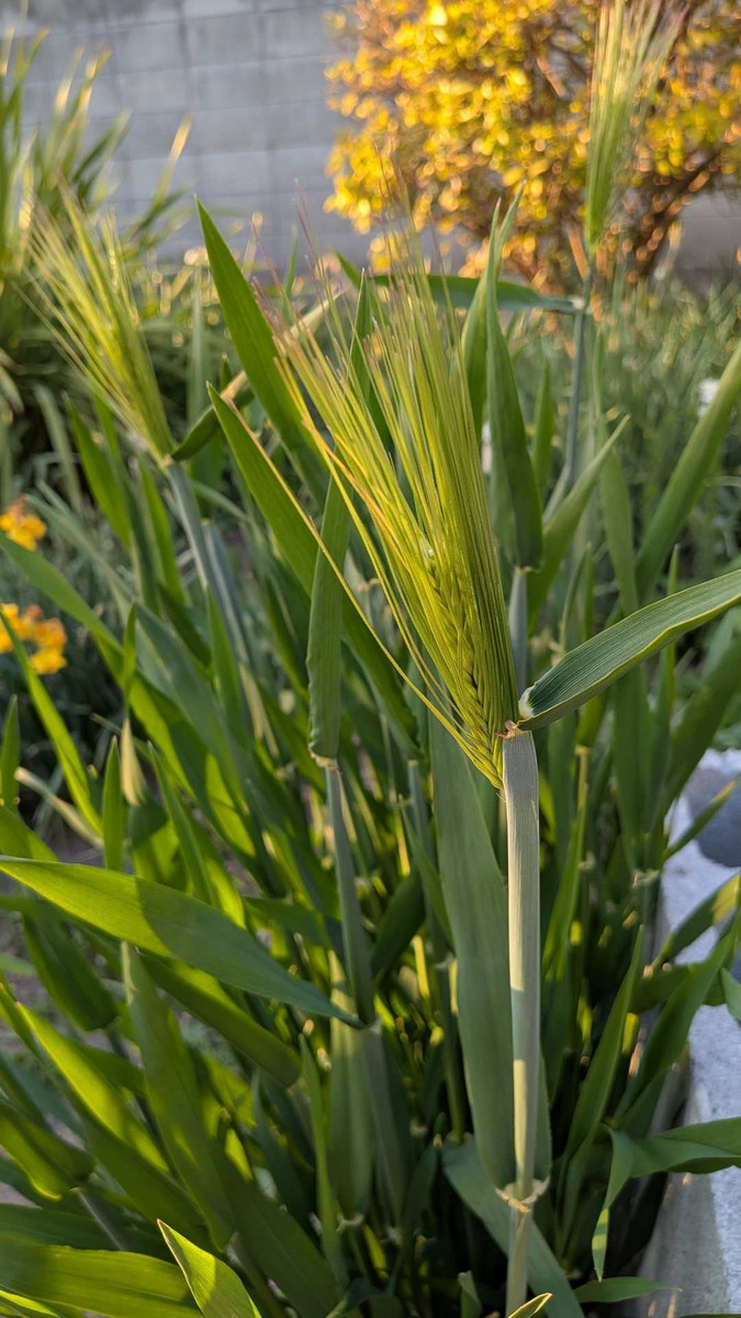 Pxl_20260316_083327078