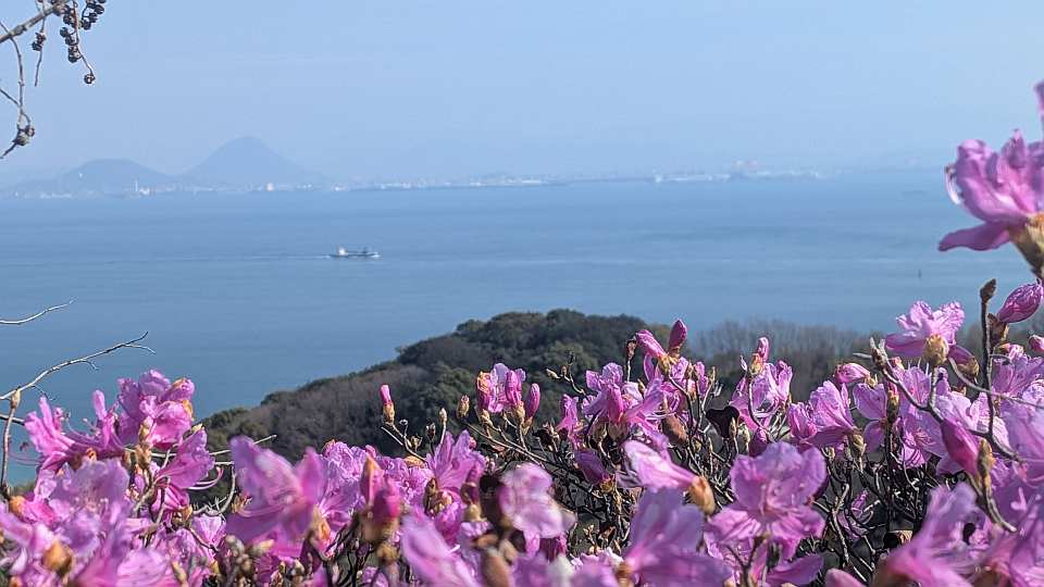 Pxl_20260320_054230527